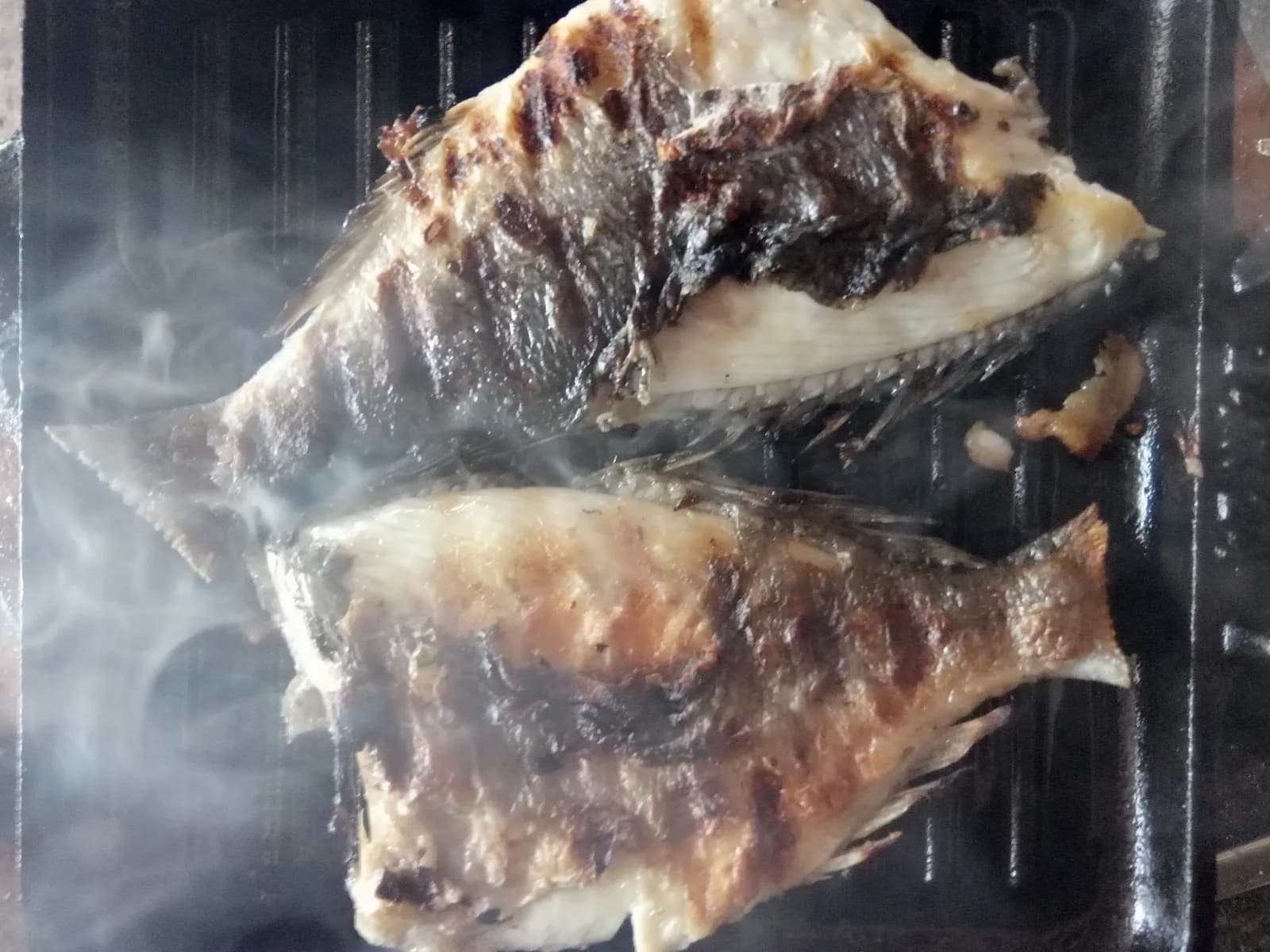 Grilled Wild Sea Bream (per kg)