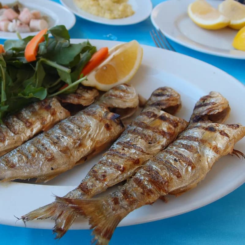 Grilled Bluefish