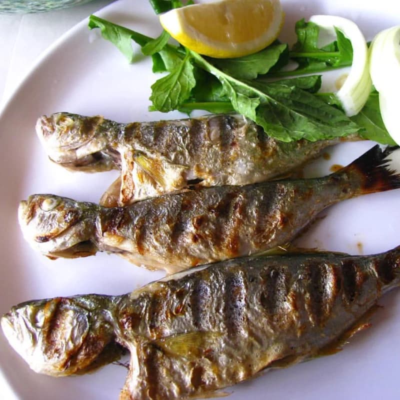 Grilled Young Bluefish